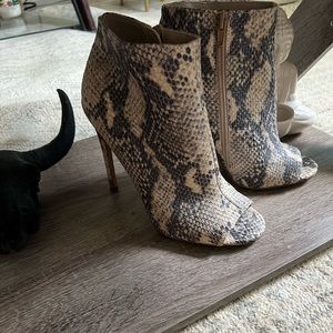 Steve Madden KICKING Bootie